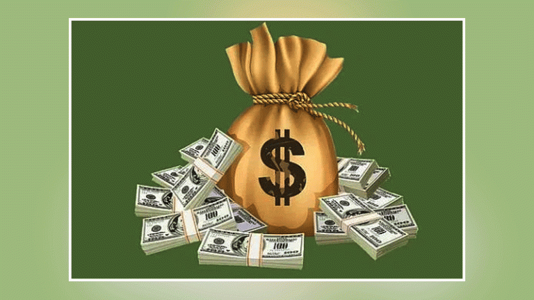 কীভাবে রেমিট্যান্স বাড়াব