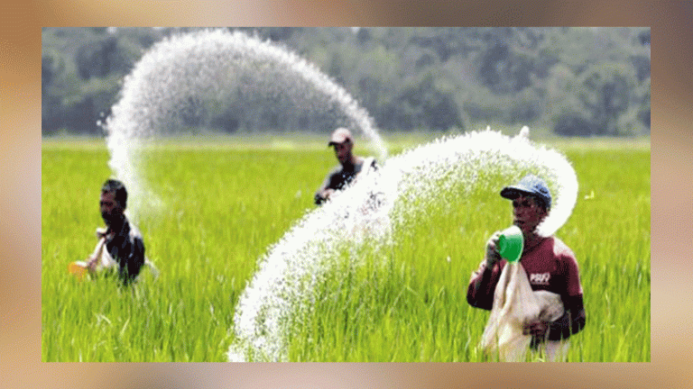 সার কিনবে সরকার