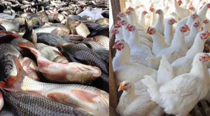 মাছ-মুরগির দাম বেড়েছে