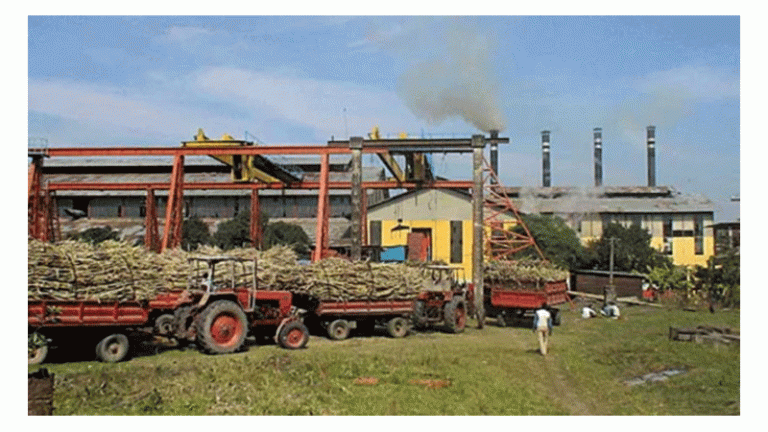 বন্ধ চিনিকগুলোতে বিনিয়োগে আগ্রহ জাপান ও থাইল্যান্ডের