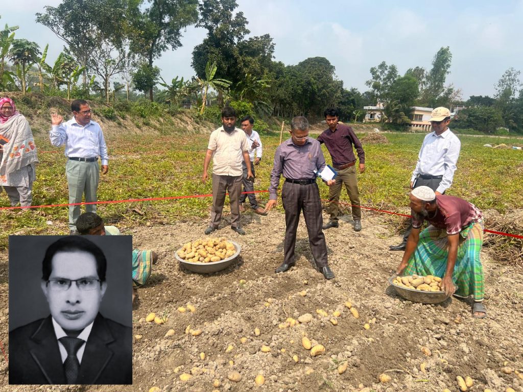 অপ্রয়োজনীয় সার ব্যবহারে আলুর উৎপাদনে ক্ষতি