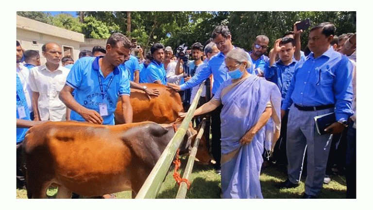 সংরক্ষণাগার করা যেতে পারে গুঁড়া দুধ আমদানির টাকা দিয়ে – প্রাণিসম্পদ উপদেষ্টা