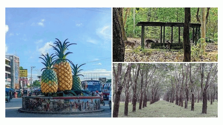 অনিন্দ্য সুন্দর পরিবেশ নিয়ে যাবে এক স্বপ্নীল রাজ্যে