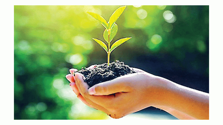 গাছ প্রাকৃতিক দুর্যোগের হাত থেকে রক্ষা করে