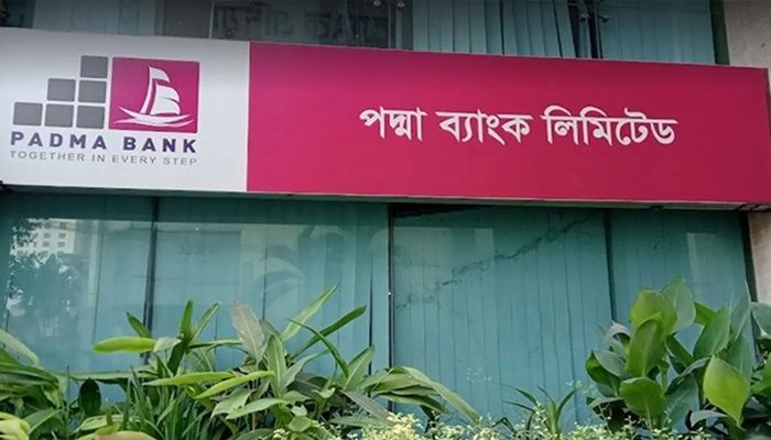 পদ্মা ব্যাংকের ‘অর্থ পাচার’ নাফিস সরাফাতসহ ৪ জনের বিরুদ্ধে ১৬১৩ কোটি টাকার মামলা