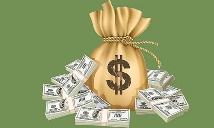 বাংলাদেশি উদ্যোক্তাদের বিদেশে পুঁজি বিনিয়োগ বেড়েছে