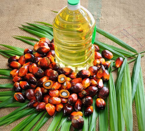 দাম কমলেও ভোক্তারা সুবিধা পাচ্ছেন না পাম অয়েলে বিশ্ববাজারে বড় পতন