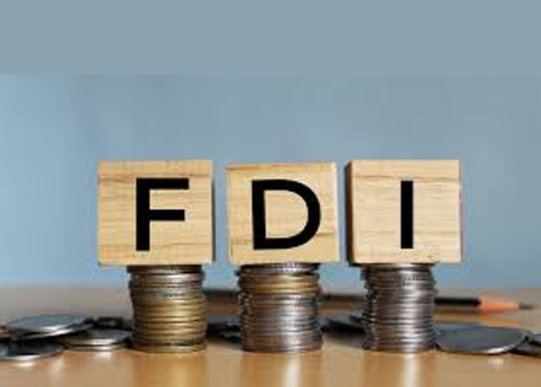 নীতি ও অবকাঠামোগত সীমাবদ্ধতায় কমেছে বিদেশি বিনিয়োগ