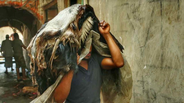 দুই হাজার টাকার চামড়ার দাম ৫০০ টাকা